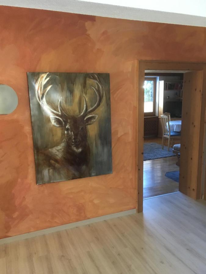 Ferienhaus Wieswald 埃尔瓦尔德 外观 照片