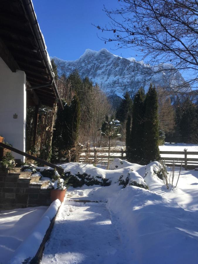 Ferienhaus Wieswald 埃尔瓦尔德 外观 照片