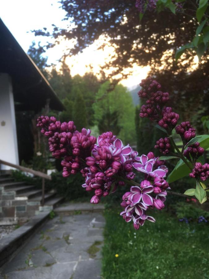 Ferienhaus Wieswald 埃尔瓦尔德 外观 照片