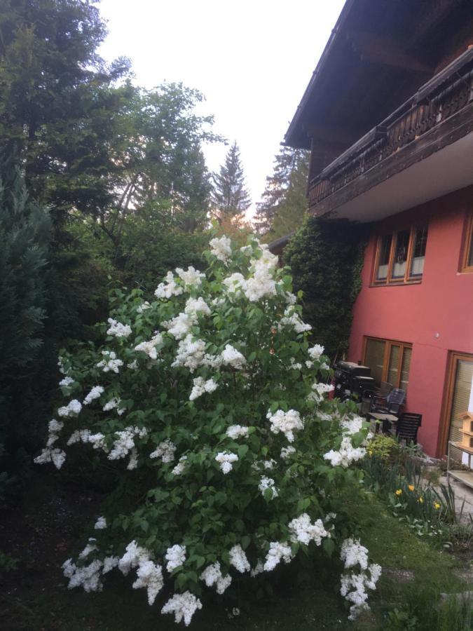Ferienhaus Wieswald 埃尔瓦尔德 外观 照片