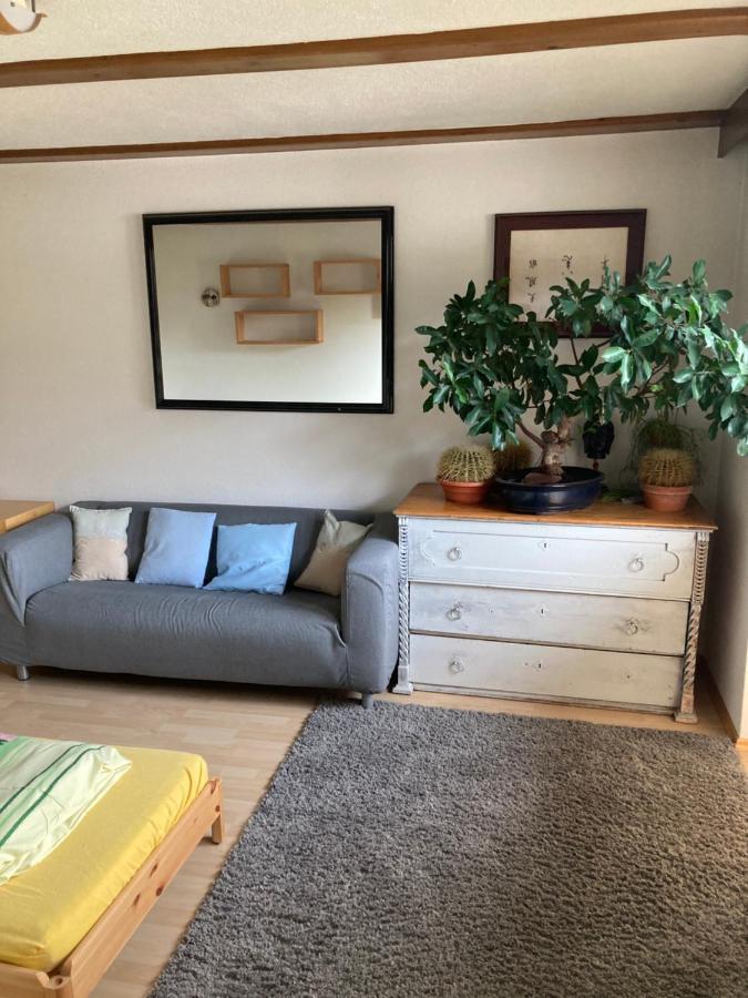 Ferienhaus Wieswald 埃尔瓦尔德 外观 照片