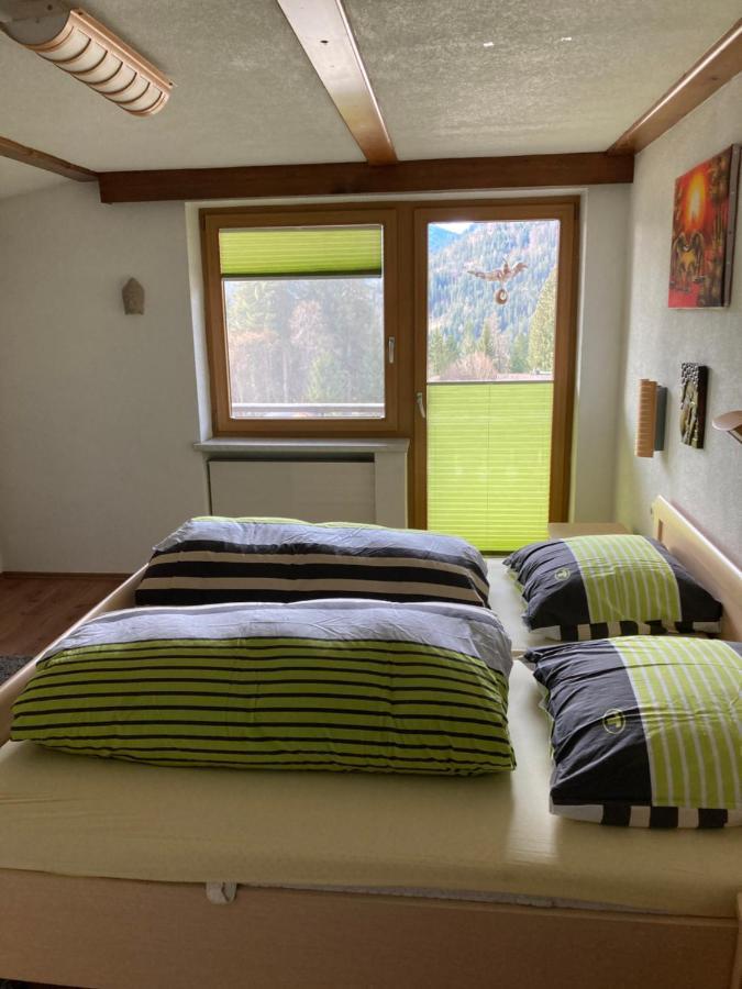Ferienhaus Wieswald 埃尔瓦尔德 外观 照片