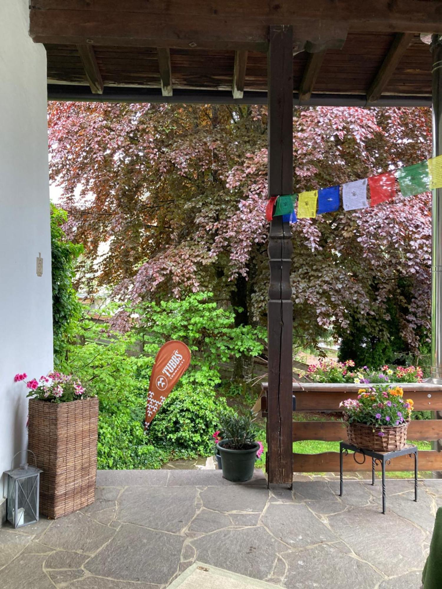 Ferienhaus Wieswald 埃尔瓦尔德 客房 照片