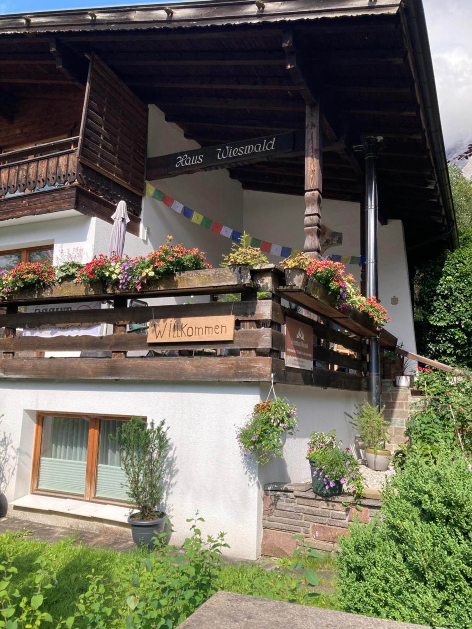 Ferienhaus Wieswald 埃尔瓦尔德 外观 照片
