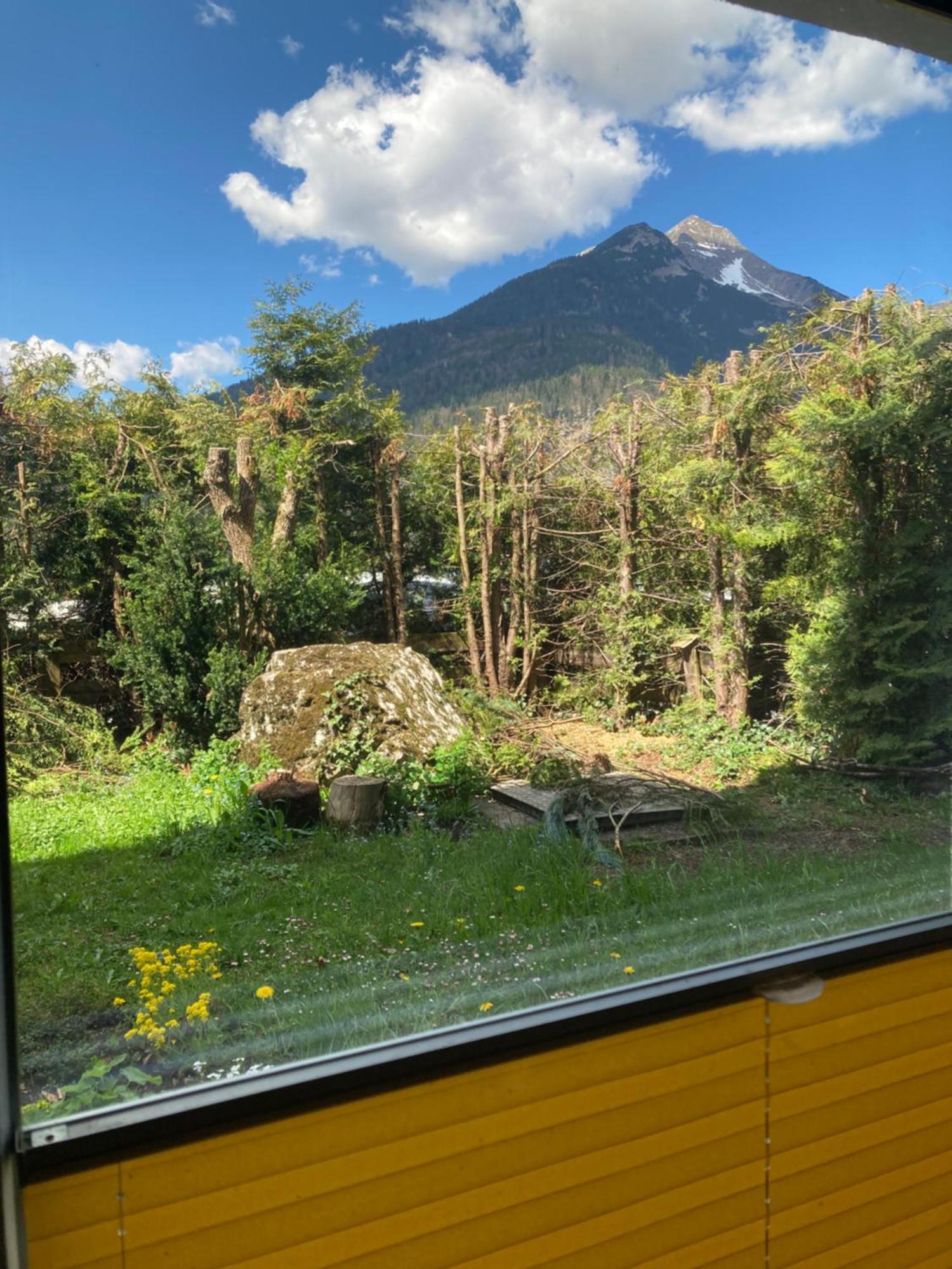 Ferienhaus Wieswald 埃尔瓦尔德 外观 照片